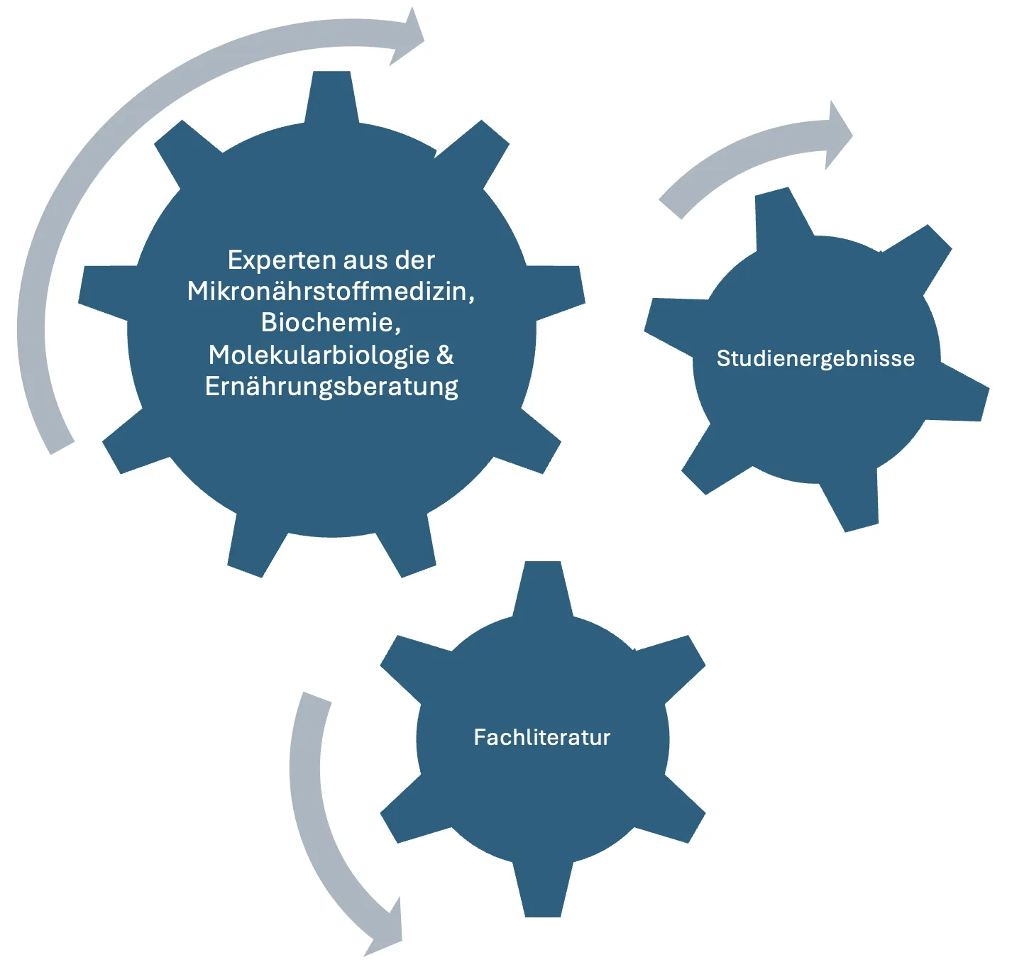 Grafische Darstellung: Expertenteam wertet Studienergebnisse und Fachliteratur aus