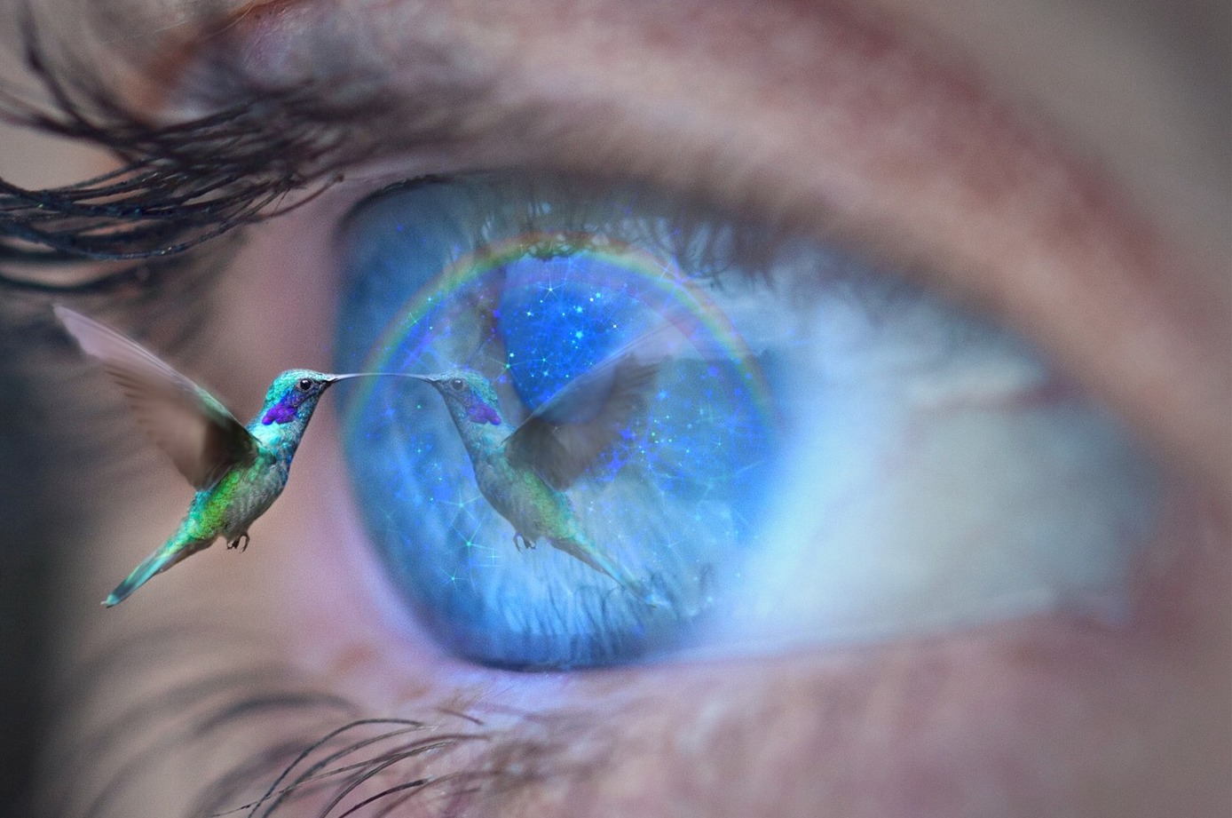 Titelbild Vitamin A f&uuml;r die Augen